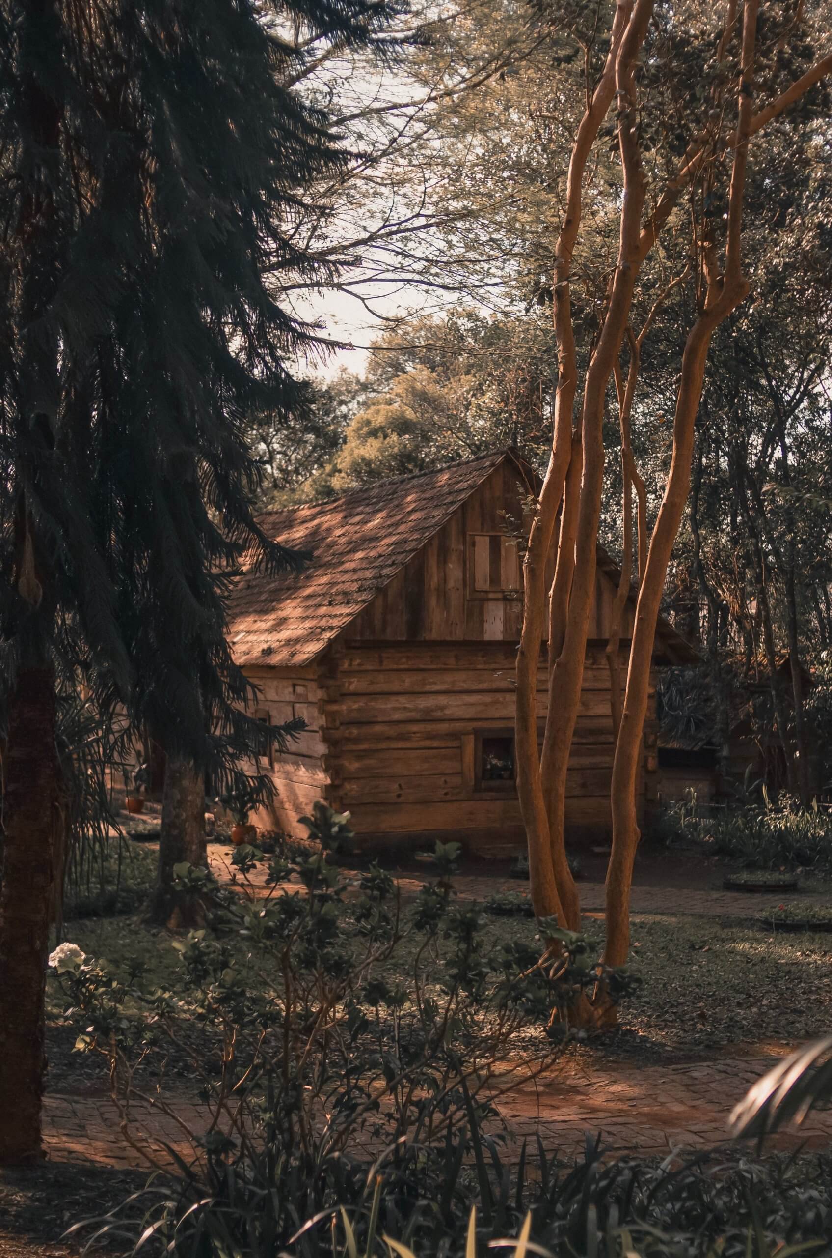 Old log cabin in a forest.