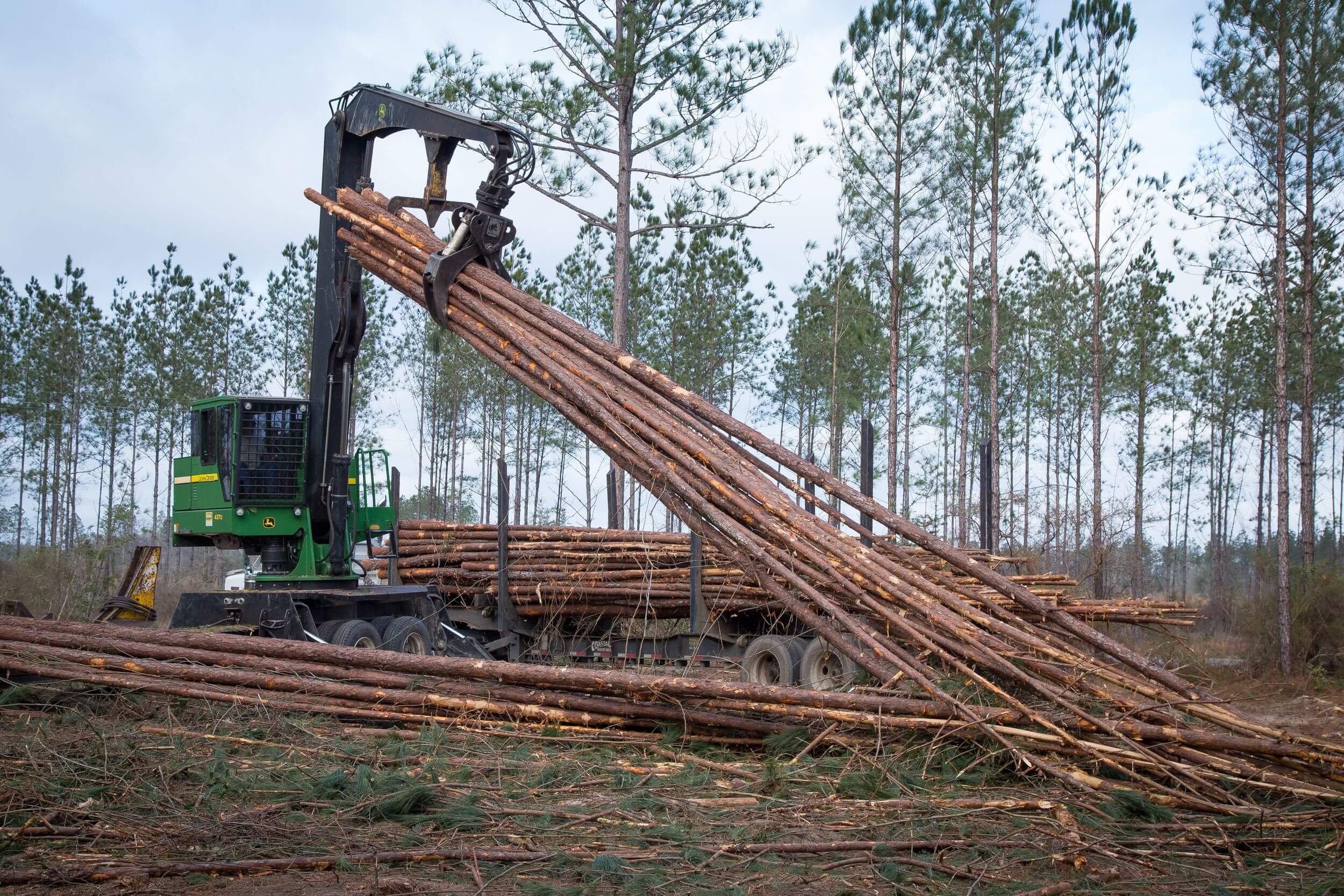 Piles of timber are moved by a logging machine.