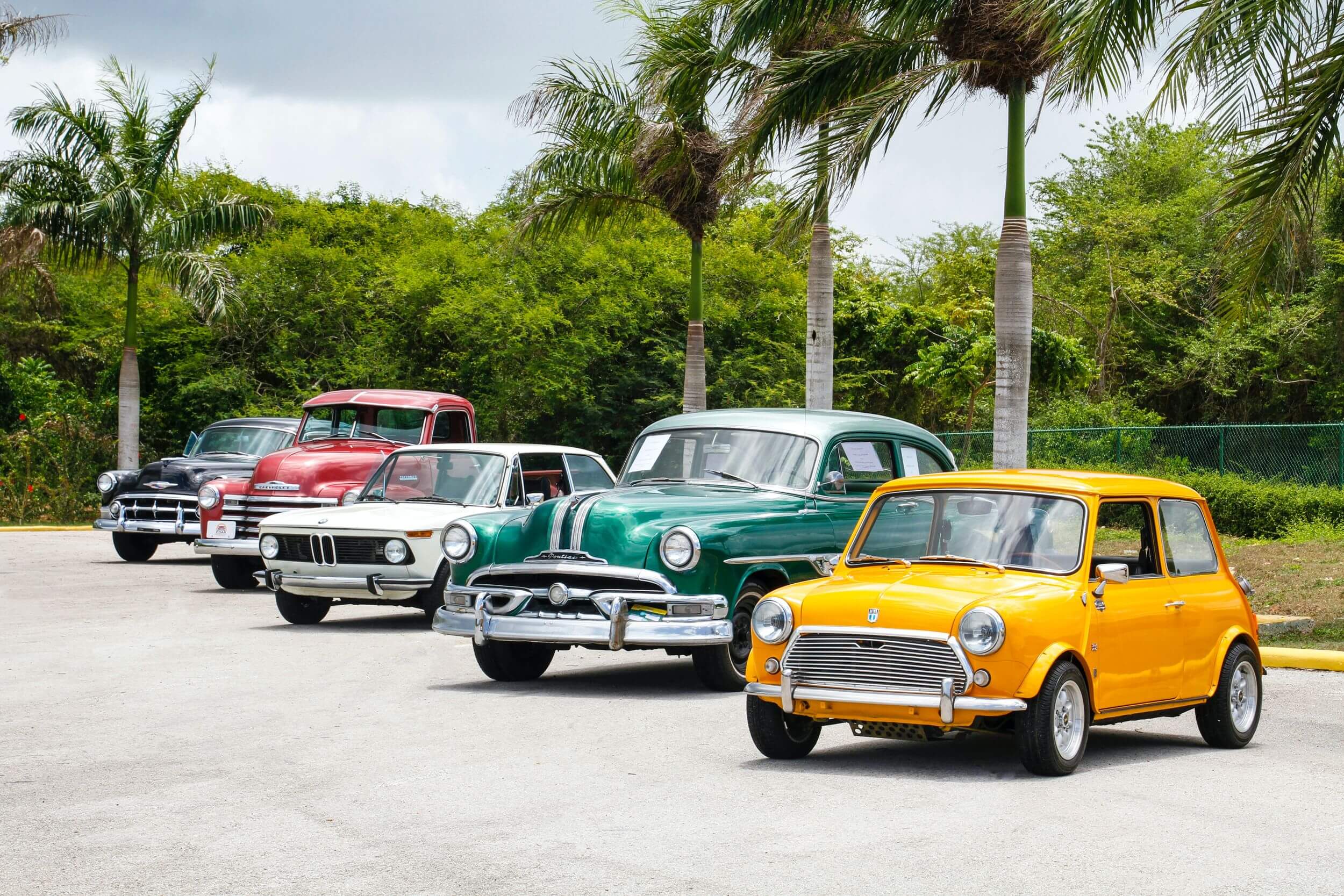 Four vintage cars lined up infront of palm trees.