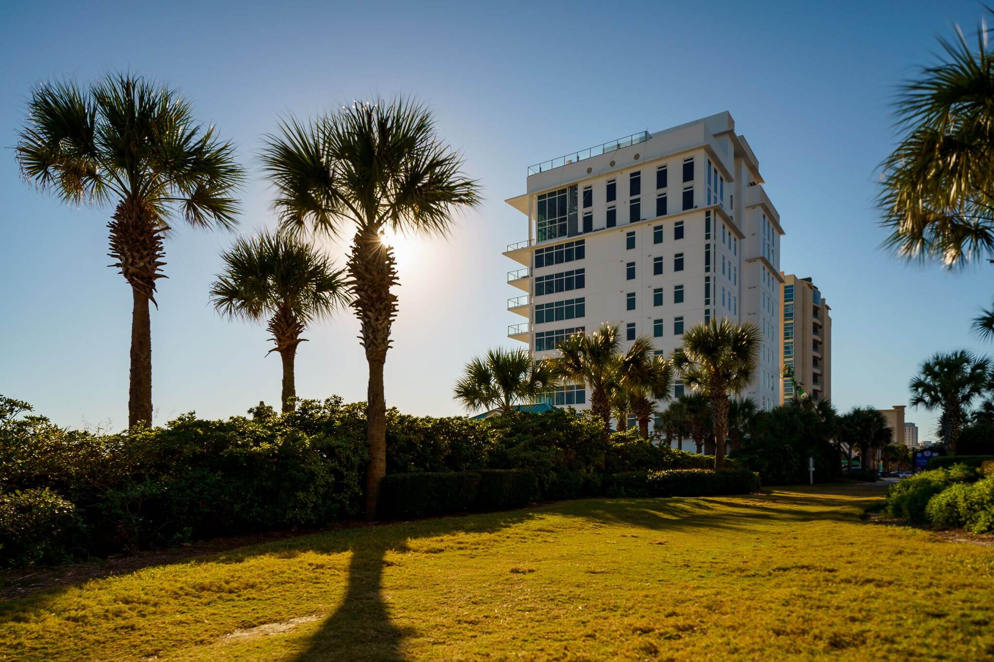 Palm trees in front of a modern white condo building.